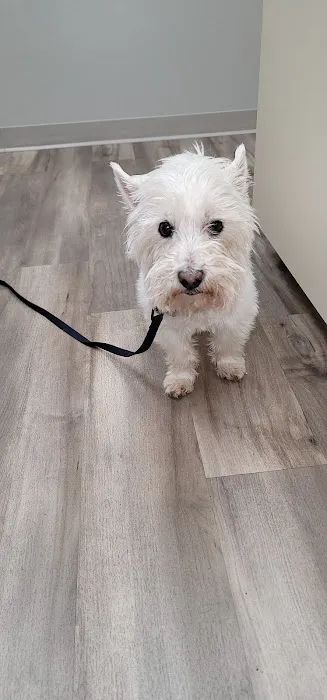 Assumption Veterinary Clinic 6