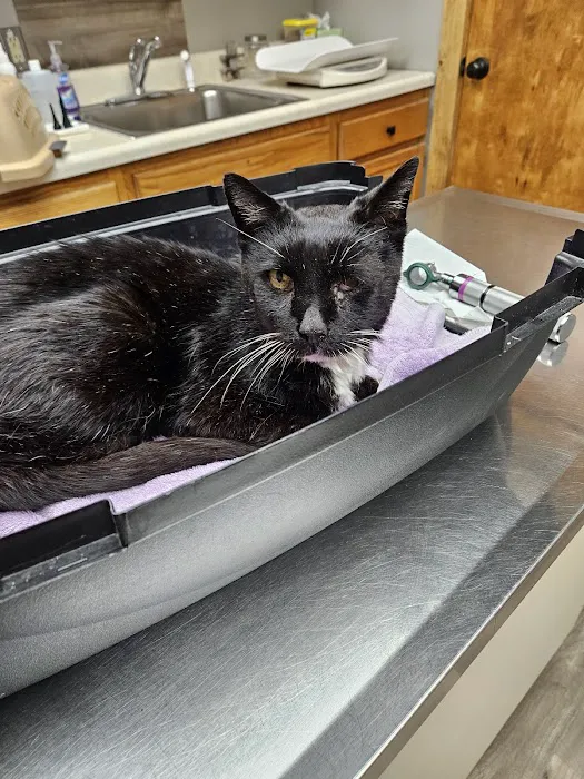 Assumption Veterinary Clinic 4