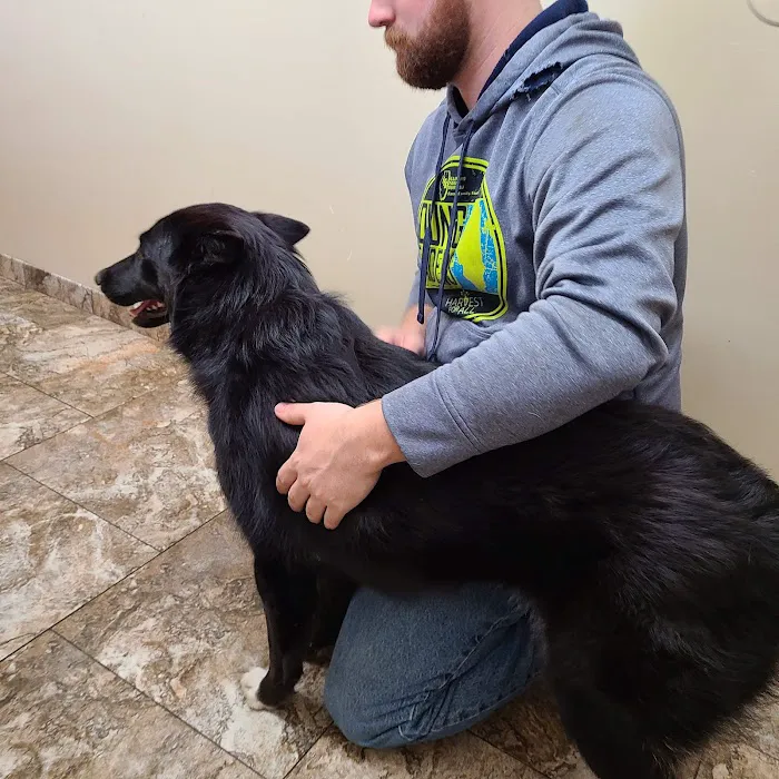 Bel Aire Pet Clinic 2