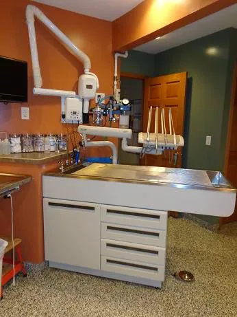 Pawsitively Pets Animal Hospital 4