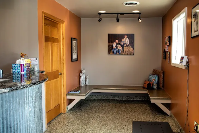 Pawsitively Pets Animal Hospital 8
