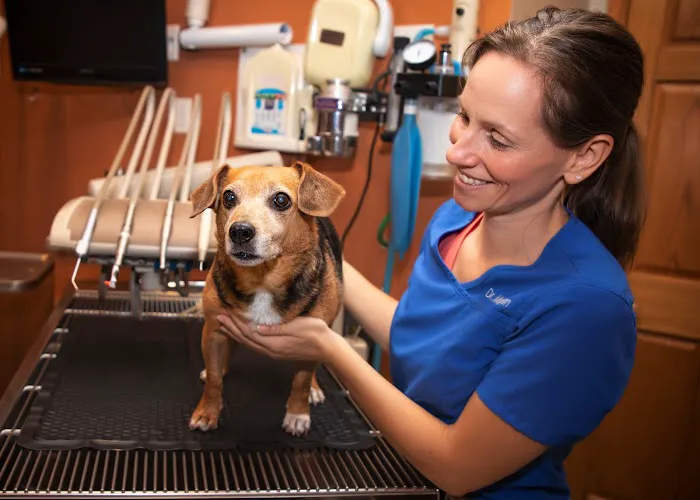 Pawsitively Pets Animal Hospital 7