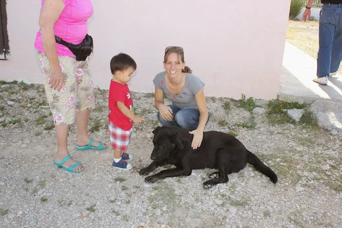 Pawsitively Pets Animal Hospital 10