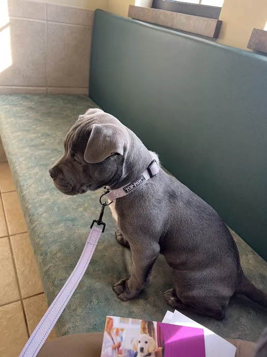 Fairview Hospital for Animals 2
