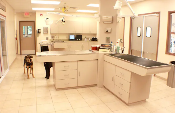 Fairview Hospital for Animals 4