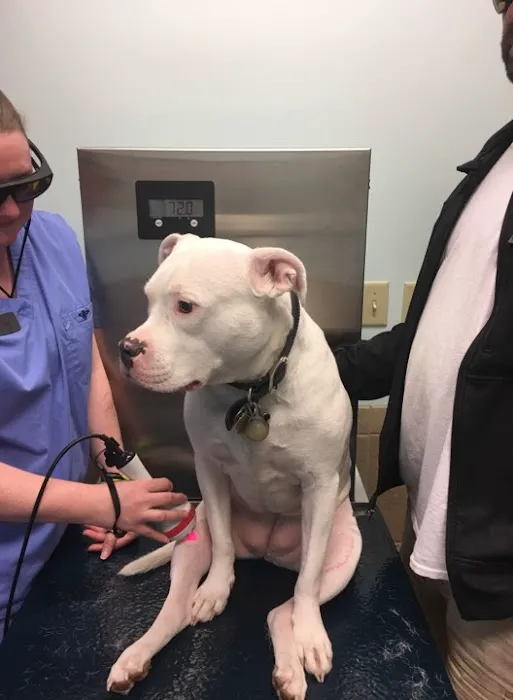 Fairview Hospital for Animals 8