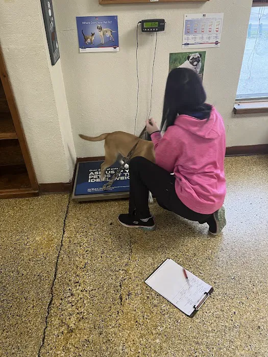 Animal Clinic of Decatur 8