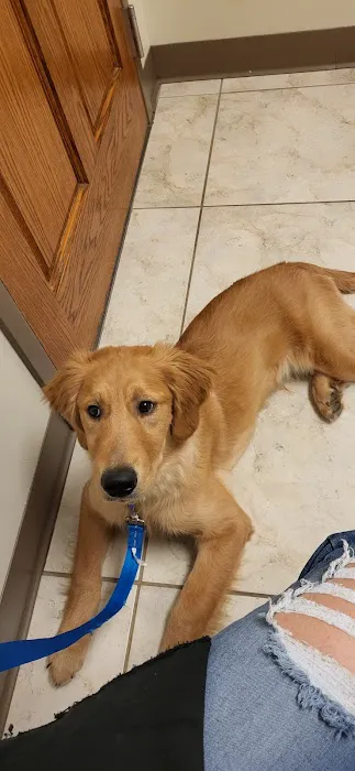 Decatur Animal Clinic 1