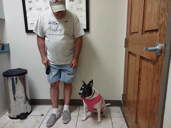 Decatur Animal Clinic 3