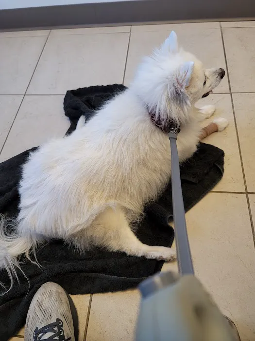 Decatur Animal Clinic 8
