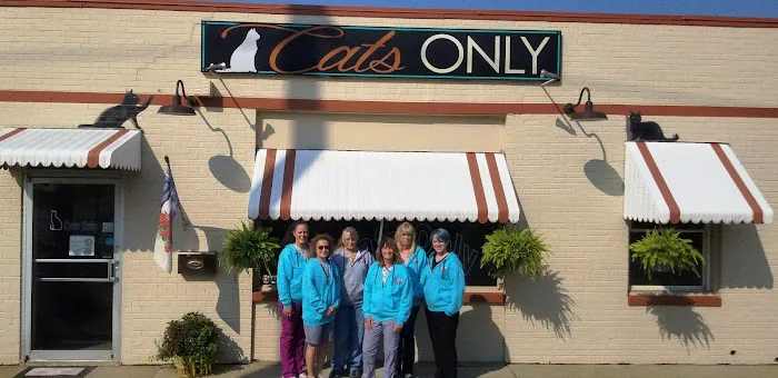 Cats Only 9