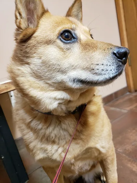 Northgate Pet Clinic 8