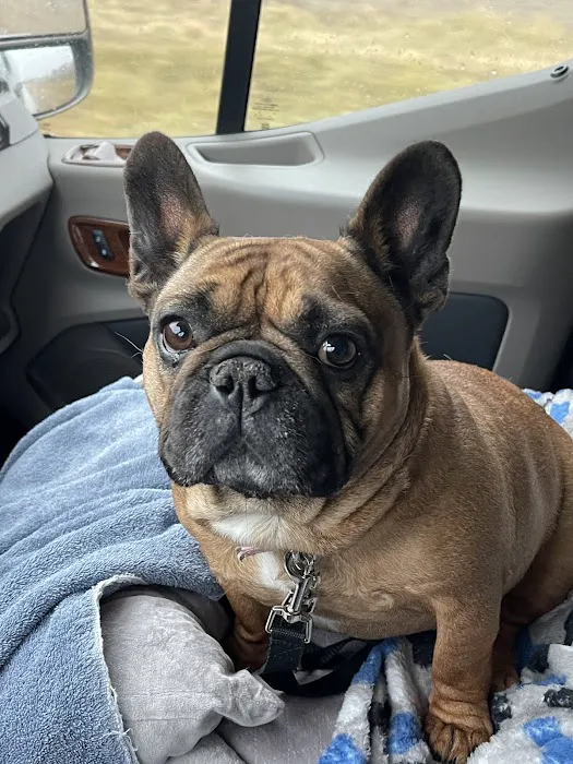 Northgate Pet Clinic 10