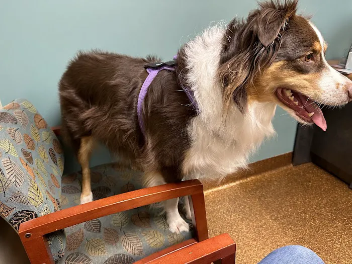 Northgate Pet Clinic 5