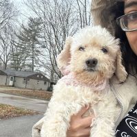 Northgate Pet Clinic ico