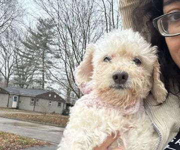 Northgate Pet Clinic