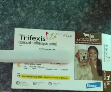 Best Friend Vet Care
