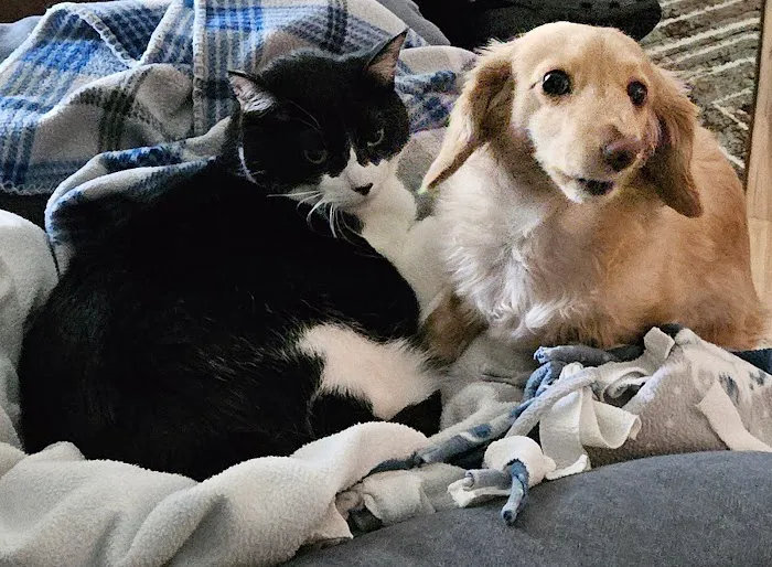 West Jefferson Animal Hospital 12