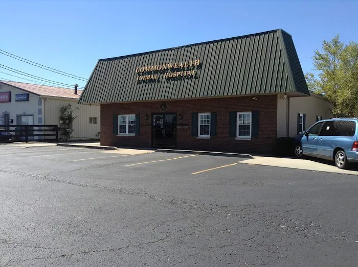 Commonwealth Animal Hospital 3