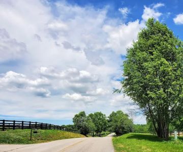 Bluegrass Veterinary Clinic