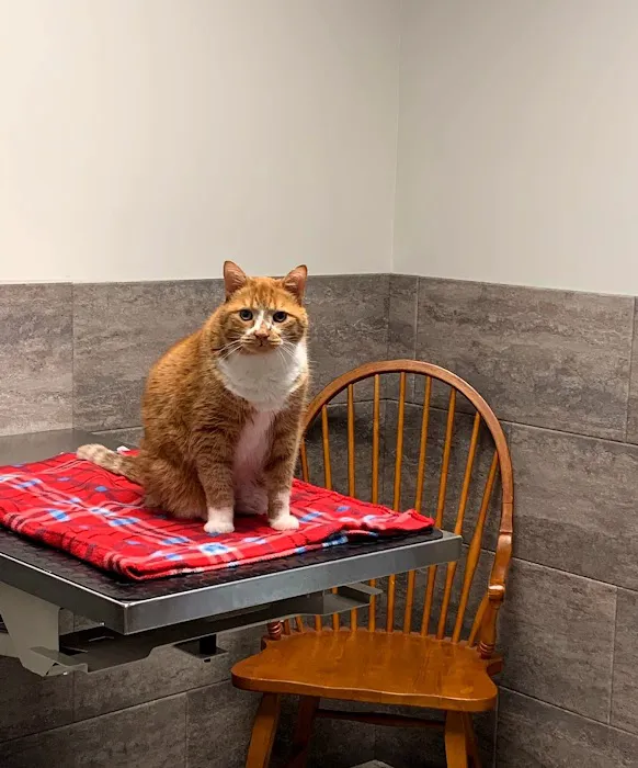 Animal Hospital of Nicholasville 3