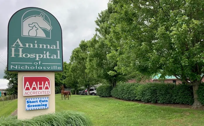 Animal Hospital of Nicholasville 4