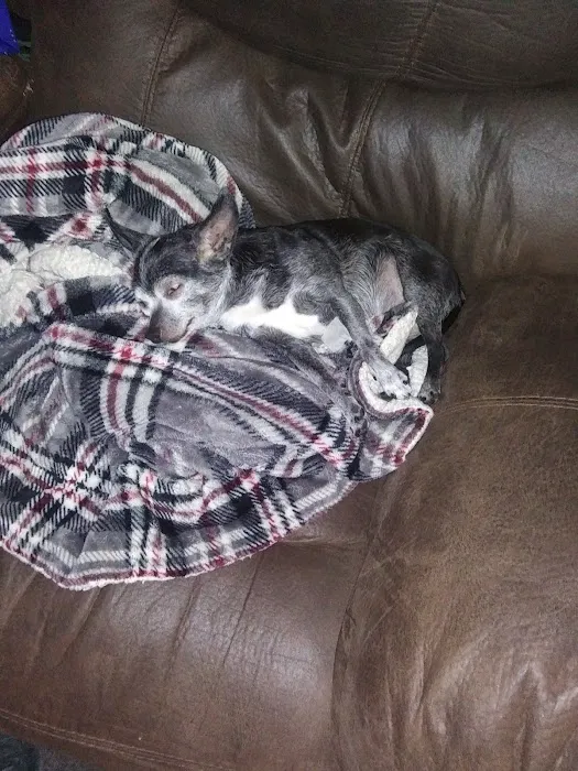 Bluegrass Animal Hospital 4
