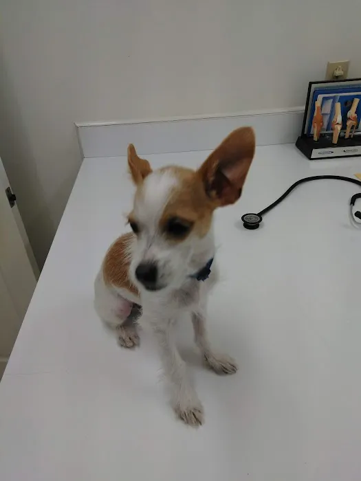 Bluegrass Animal Hospital 3