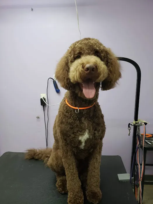 Bluegrass Animal Hospital 2