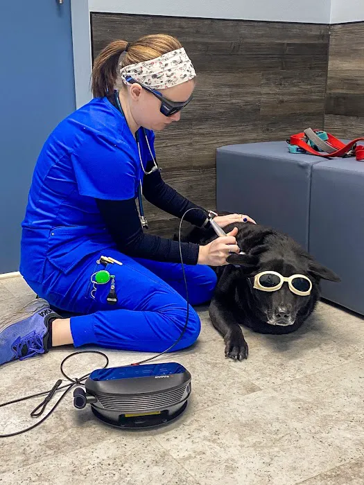 Bellaire Animal Medical Center 3