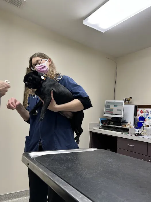 Animal Clinic At Equestrian Woods 4