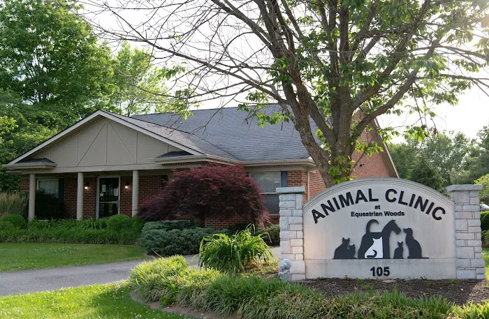 Animal Clinic At Equestrian Woods 10