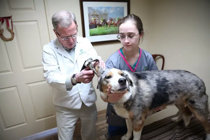 Greentree Animal Hospital 6