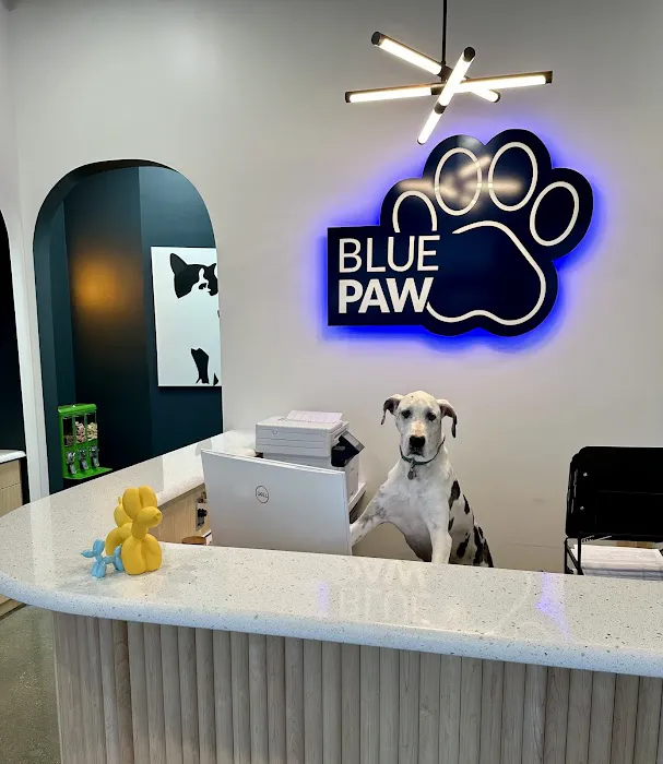Blue Paw Primary Pet Care 12