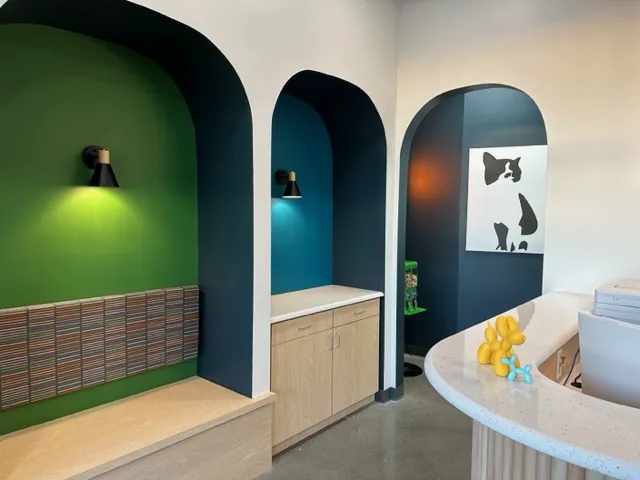 Blue Paw Primary Pet Care 12