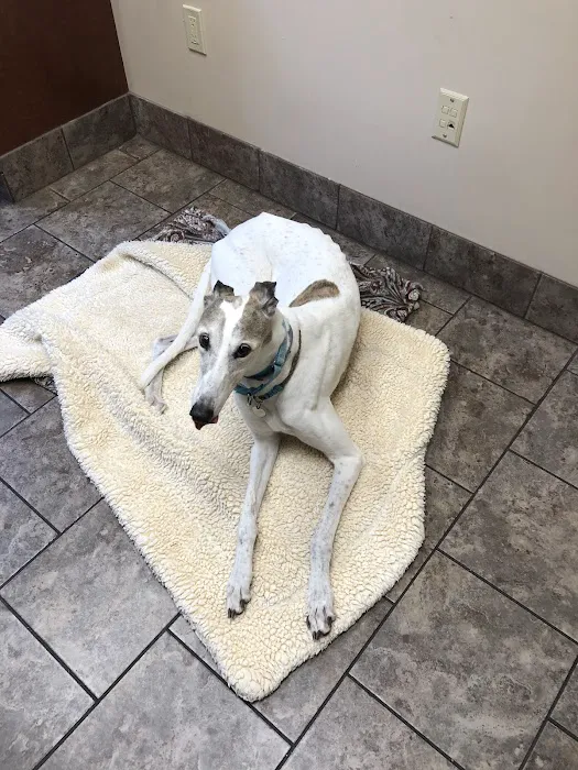 Animal Care Clinic 12