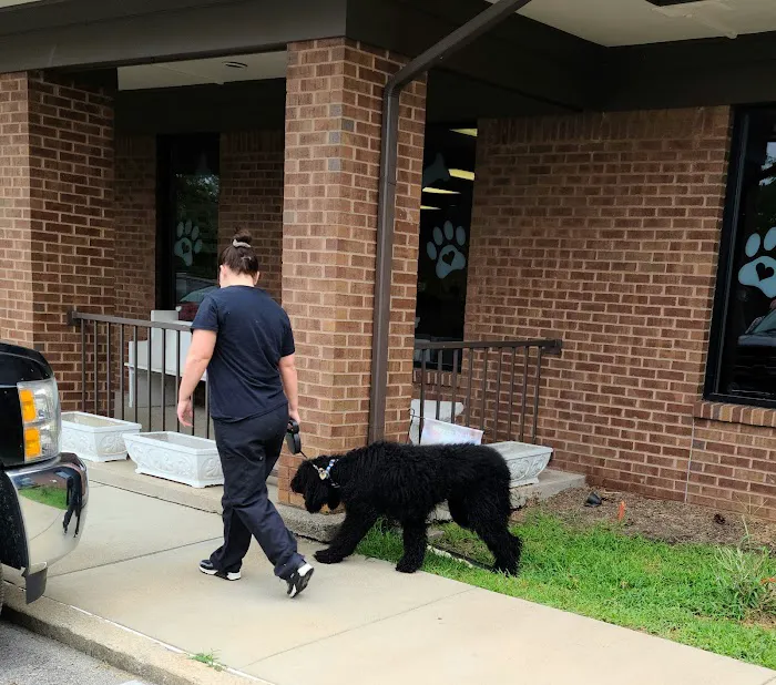 Animal Care Clinic 12
