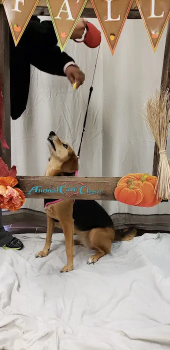 Animal Care Clinic 12