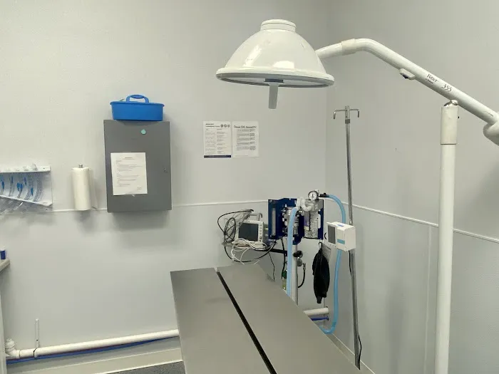 Boston Road Animal Clinic 3