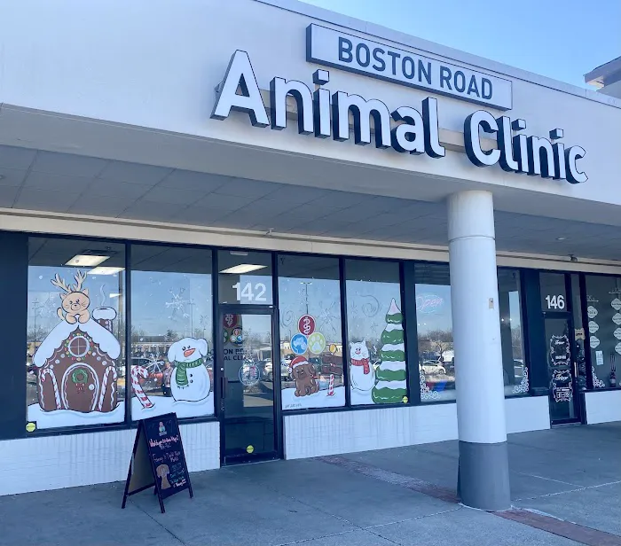 Boston Road Animal Clinic 1