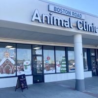 Boston Road Animal Clinic ico