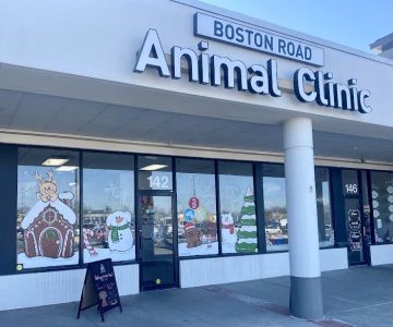 Boston Road Animal Clinic