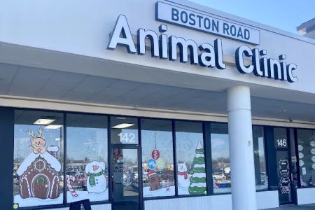 Boston Road Animal Clinic