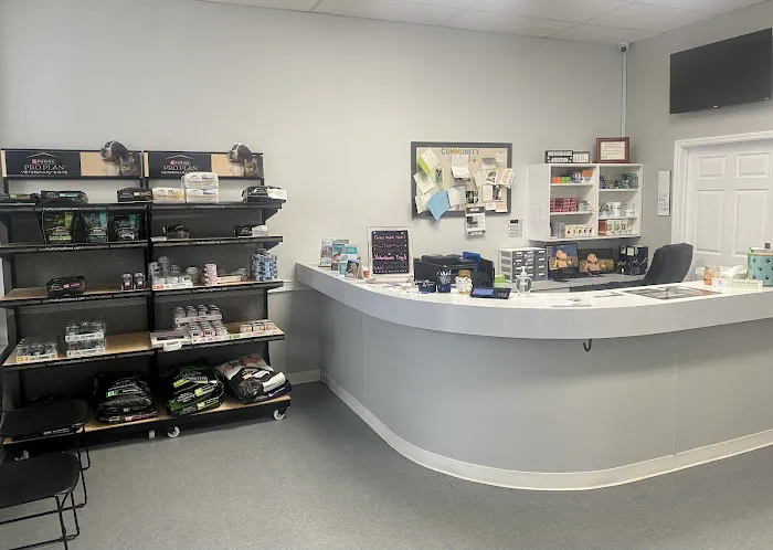 Boston Road Animal Clinic 9