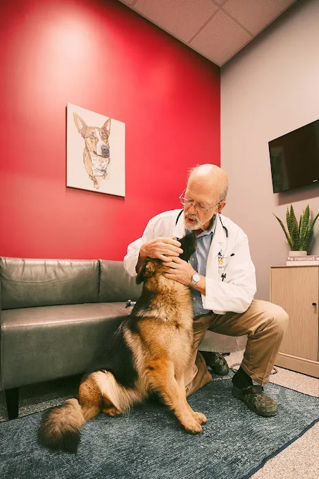 PetVet365 Pet Hospital Lexington/Harrodsburg Rd 12