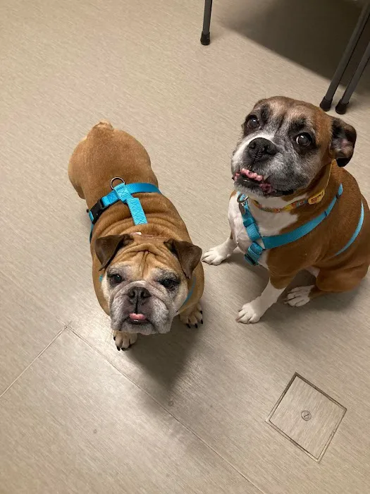 Nicholasville Road Animal Hospital 8