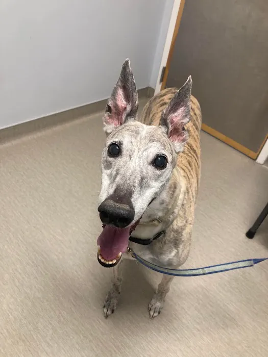 Nicholasville Road Animal Hospital 6