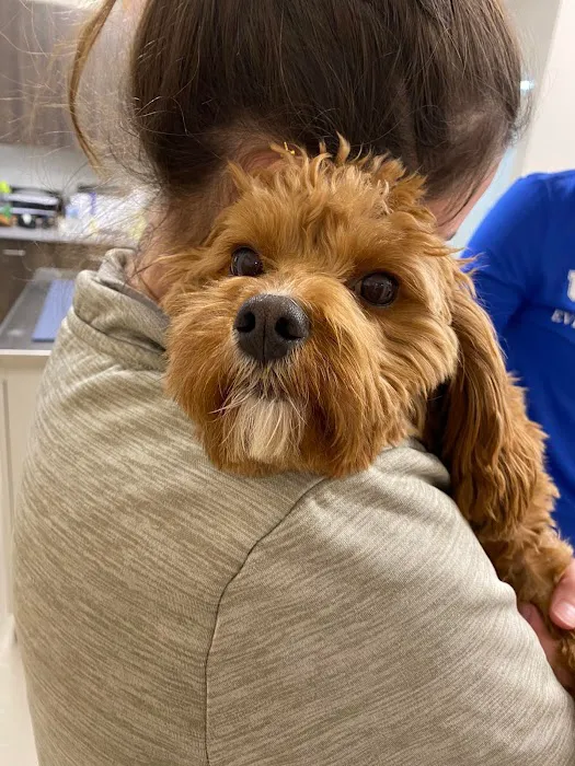 Nicholasville Road Animal Hospital 5