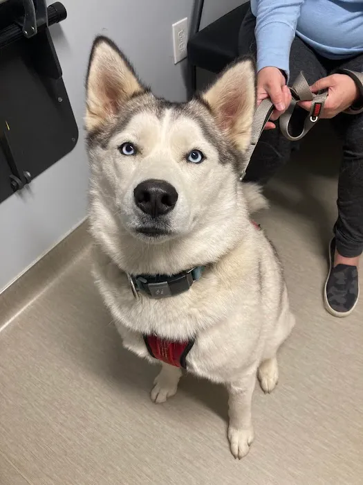 Nicholasville Road Animal Hospital 3