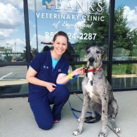 Dr. Kimberly Hill, DVM ico